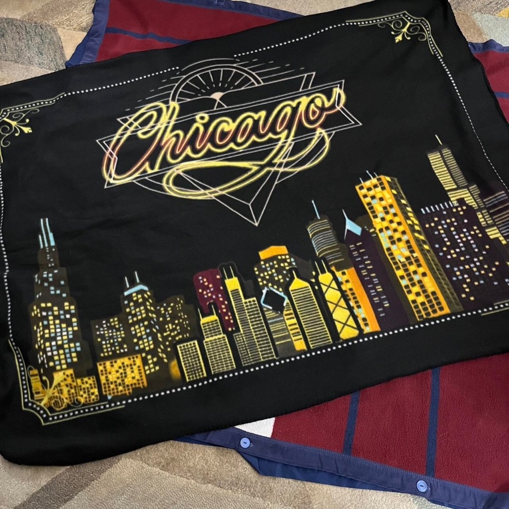 Earth Ragz Chicago art deco style fleece blanket buildings black lights